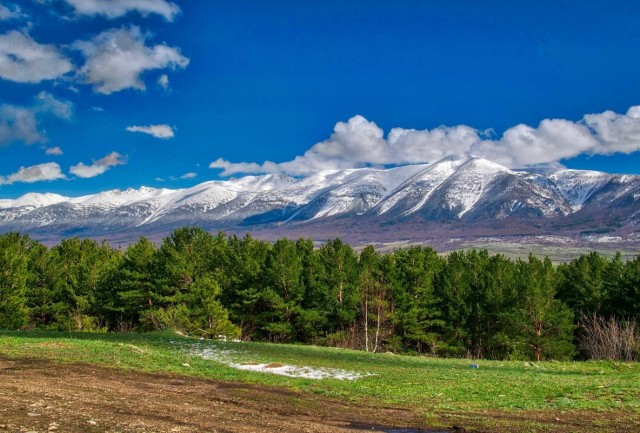 Где-то на Урале лес заменяет людям небо
