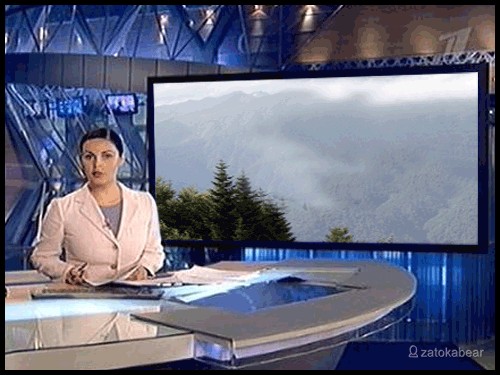 Фотожаба: Семь футов над землей