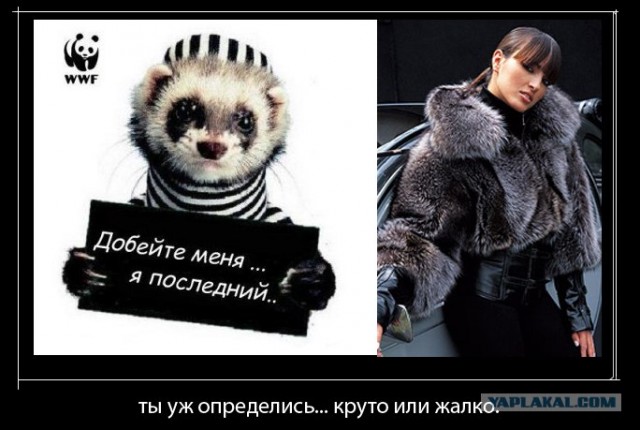 Круто, когда не жалко!