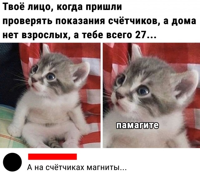 Кретинизмы из сети 03.02.21 Night Edition