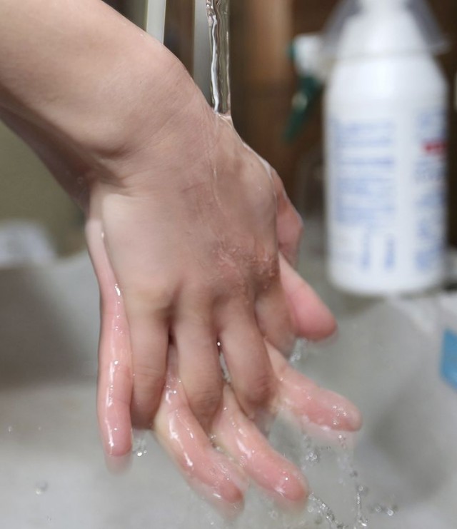 16 деталей жизни голландцев, которые доказывают, что между нашими странами — пропасть