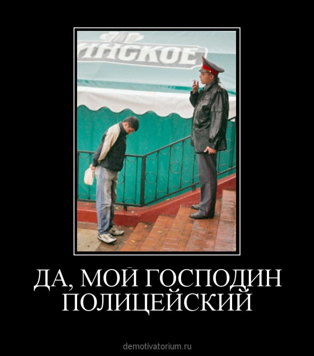 Слушаюсь и повинуюсь картинки прикольные смешные