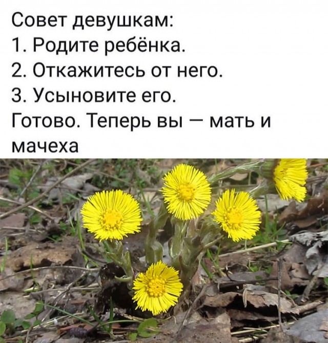 Всякая всячина