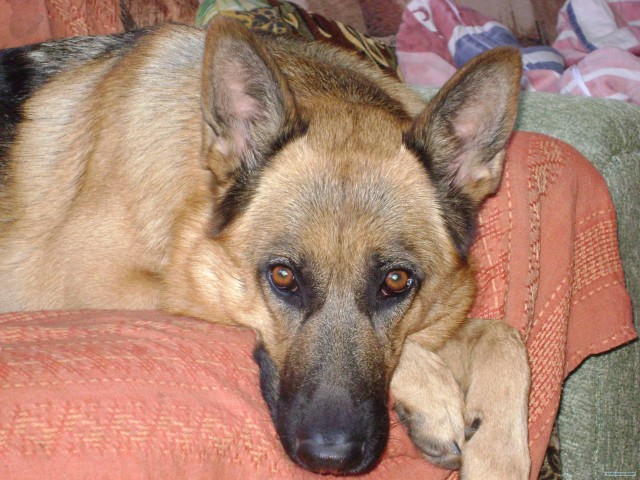 Перемена настроения