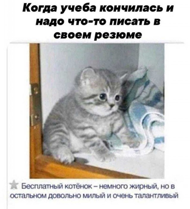 Весёлый полтишок 05.11