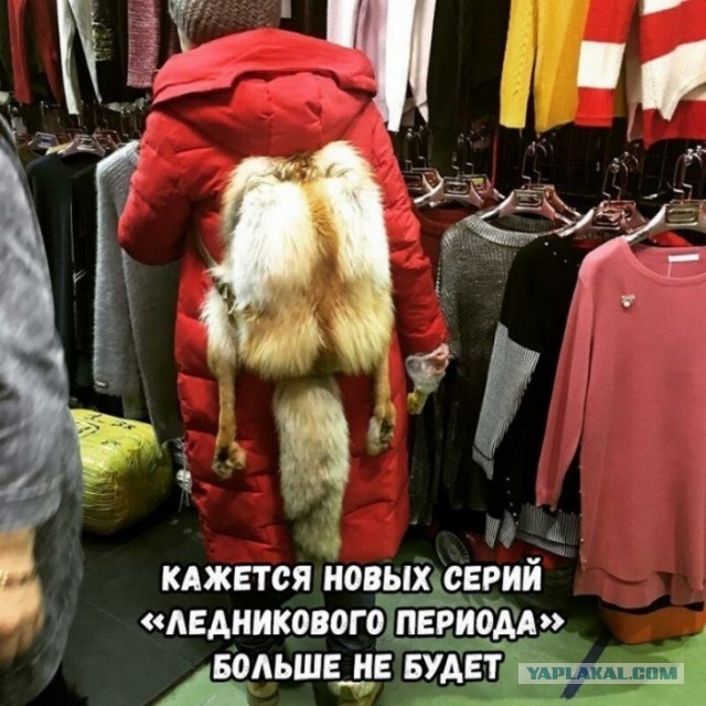 Разные картинки для настроения на любой вкус - 6