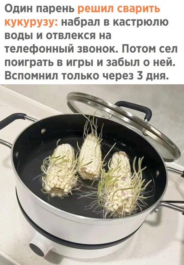 Просто картинки