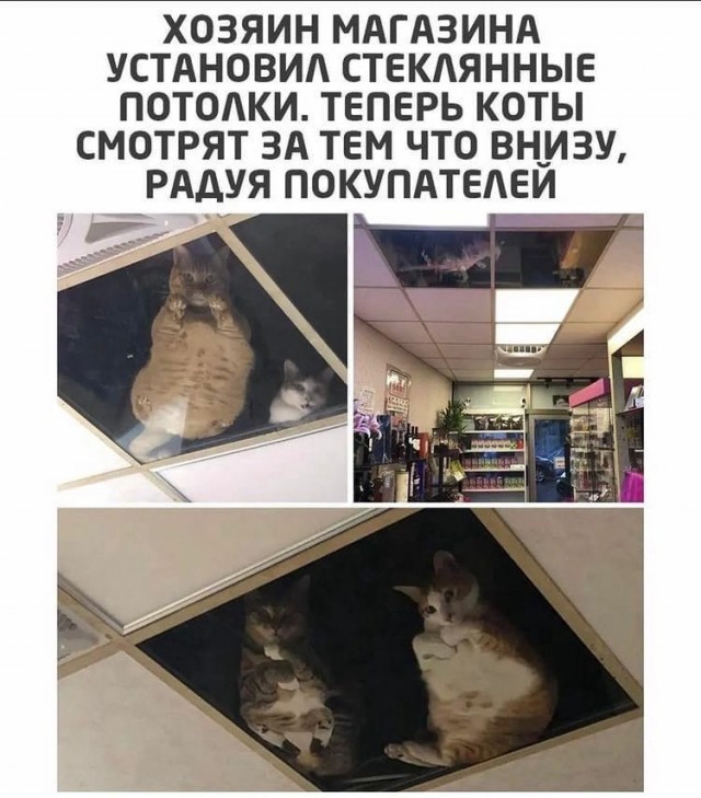 Так себе картинки 31.03.22