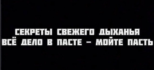 Весёлый полтишок 11.04.22