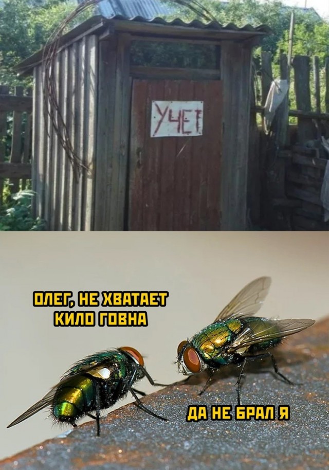 Калейдоскоп картинок