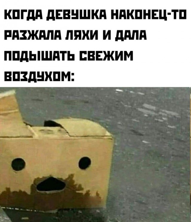 Картинки и мемы для настроения - 19