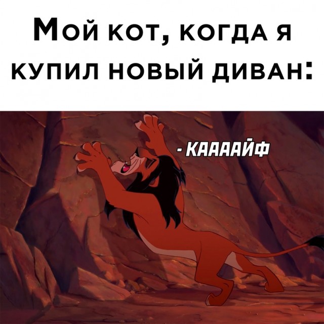 Весёлый полтишок 23.08.22