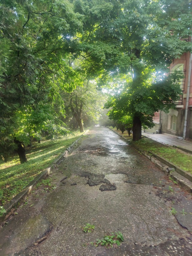 Так себе картинки 26.08.22