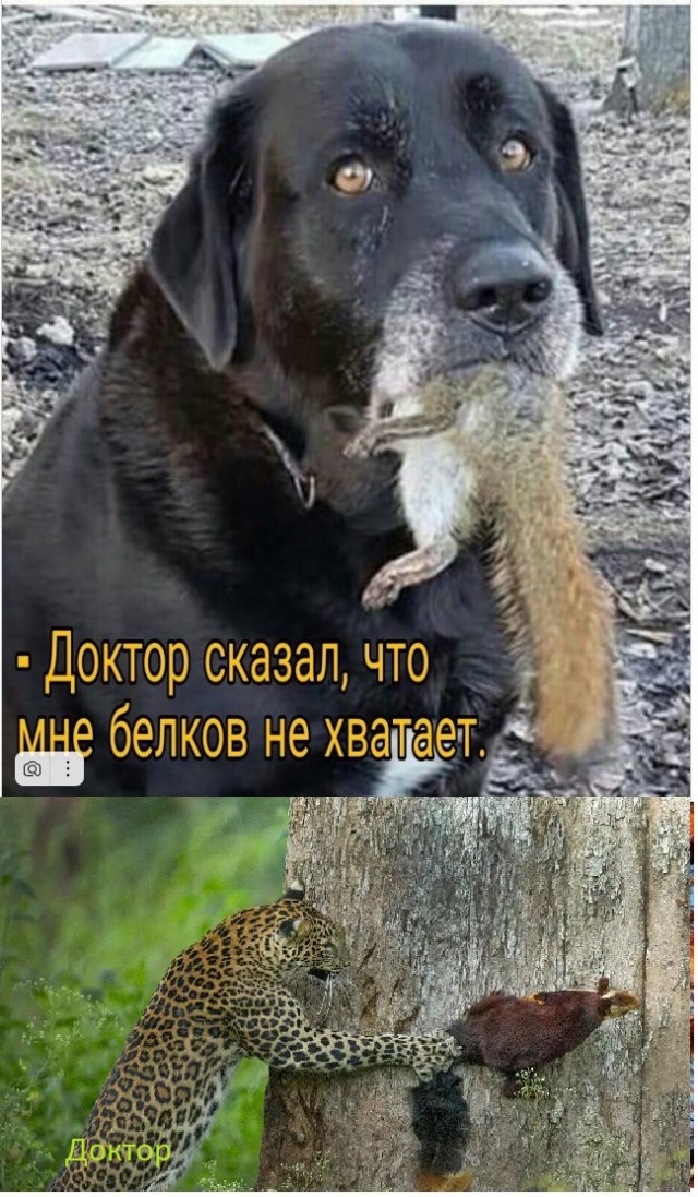 Так себе картинки 17.09.22