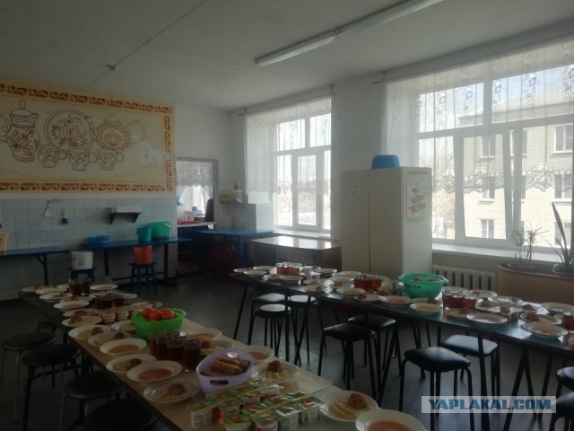 Аппетитный фотоснимок из школьной столовой.

Котлетки с пюрешкой
