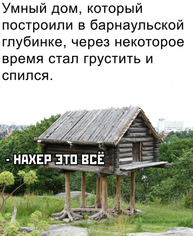 Весёлый полтишок 05.12.22