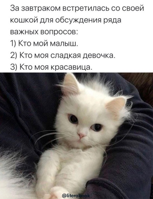 Прикольные и просто красивые картинки 09.12.2022