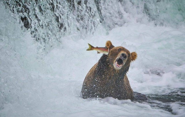 Подборка интересных и прикольных фото из Сети 18.12.22