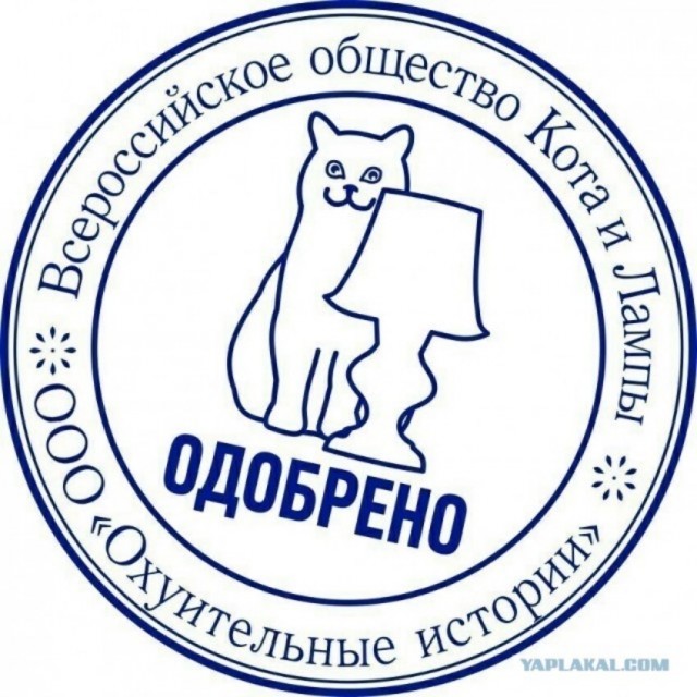 Поймал момент!