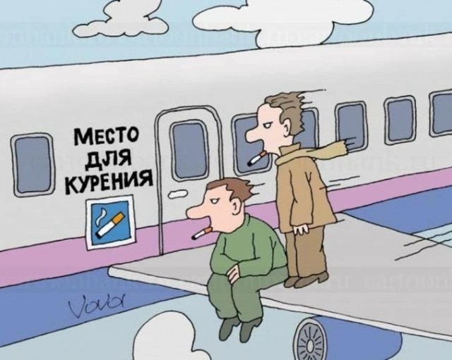 Весёлый полтишок 11.01.23