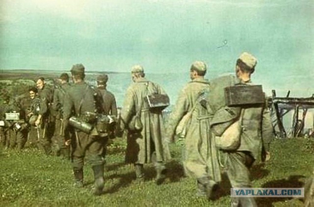 Сталинград: самая кровавая битва всех времён и народов
