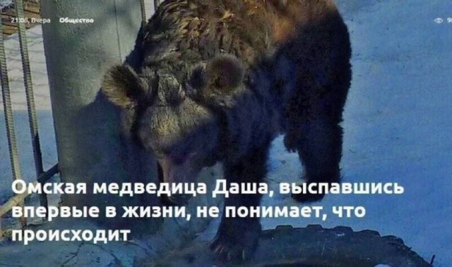 Всего понемногу. Часть 11