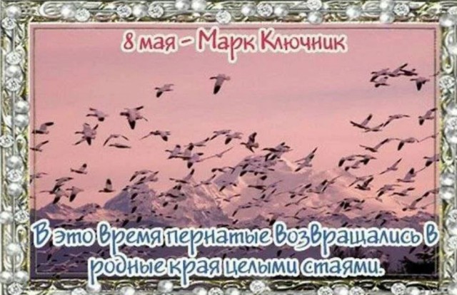 Победная поступь идиотизма по планете – том 14