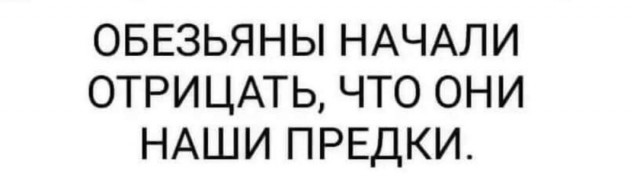 Забавные комментарии из социальных сетей (03.07.23)