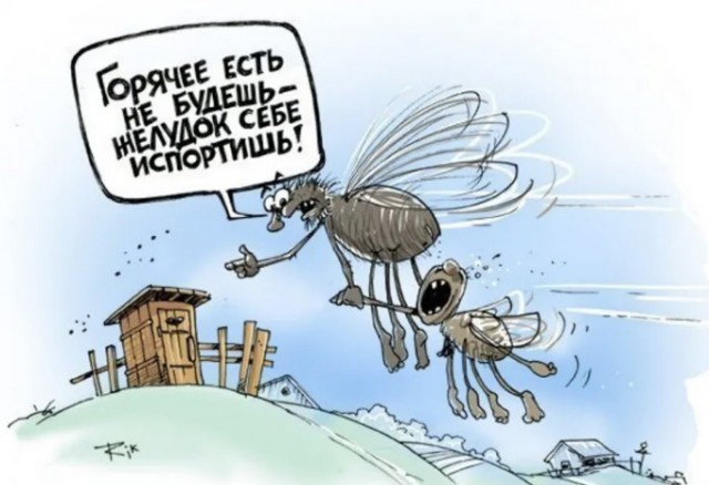 Муха в микроволновке.