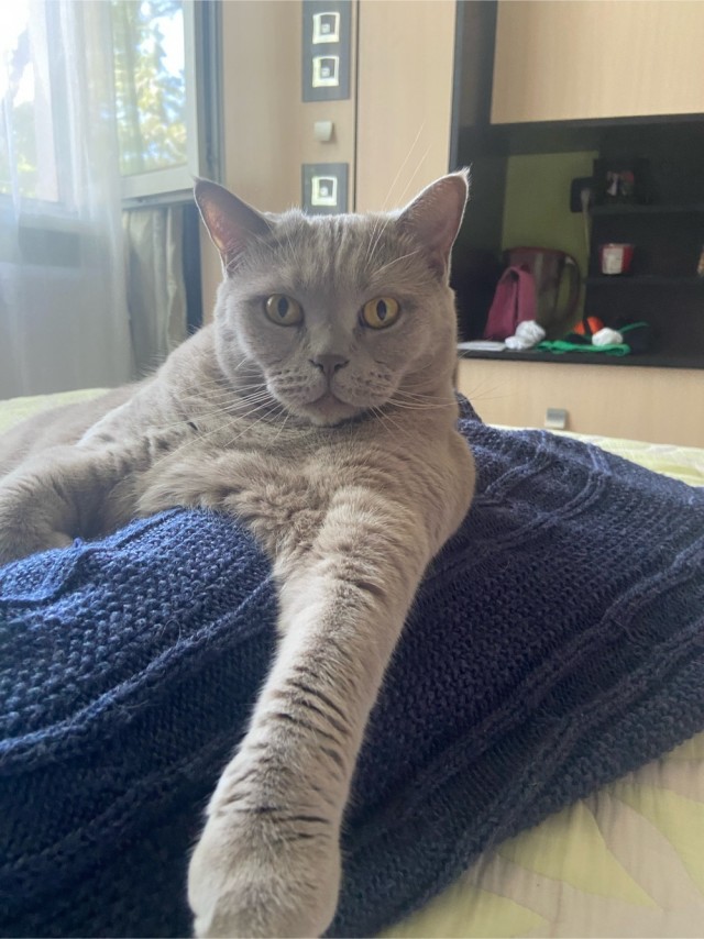 Котовторник! 16+ Коллеги-рабы, отмечаемся, у кого хозяину много лет!