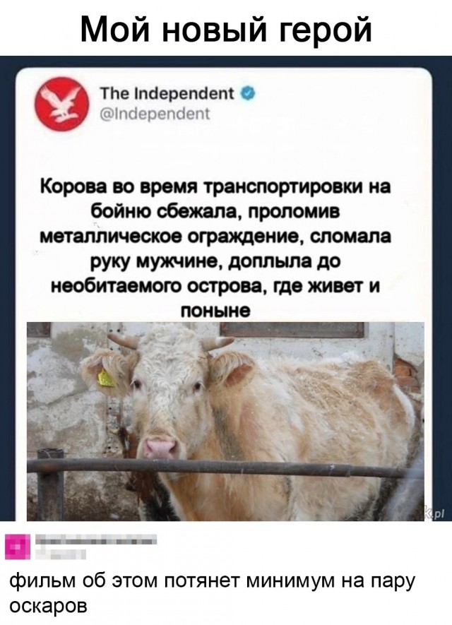 Всего понемногу. От 18.12.23