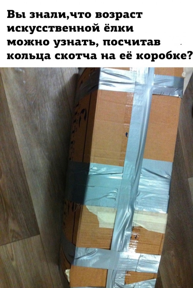 Так себе картинки 27.12.23
