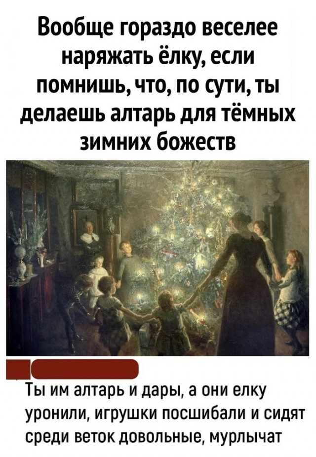 Жизнь домашнего приюта для котеек 476