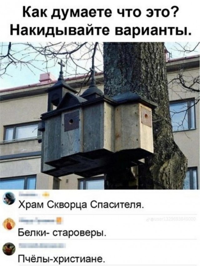 Тлидцать тли от 6 февраля
