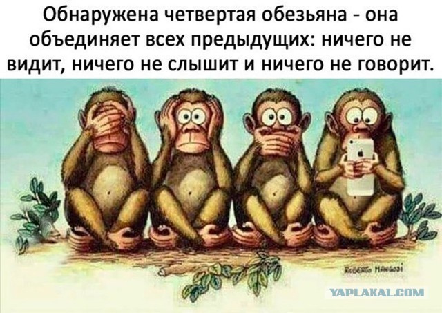 Автор канала «Нам пишут из Янины» военкор Андрей Морозов (Мурз) покончил с собой