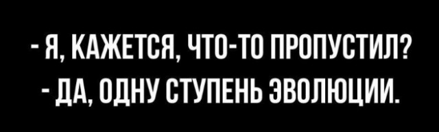 Всего понемногу. От 24.02.24