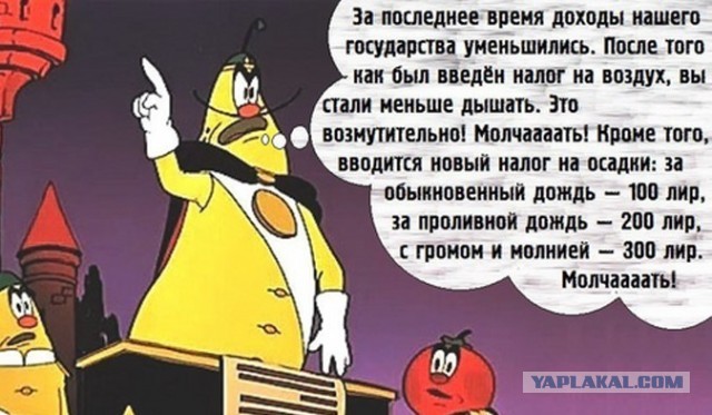 Вернуть налог на бездетность предложили в России. Это поможет бороться с «субкультурой чайлдфри»
