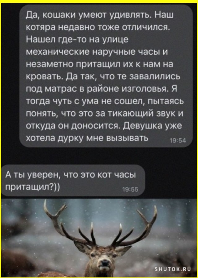 Тлидцать тли от 11 маЛта