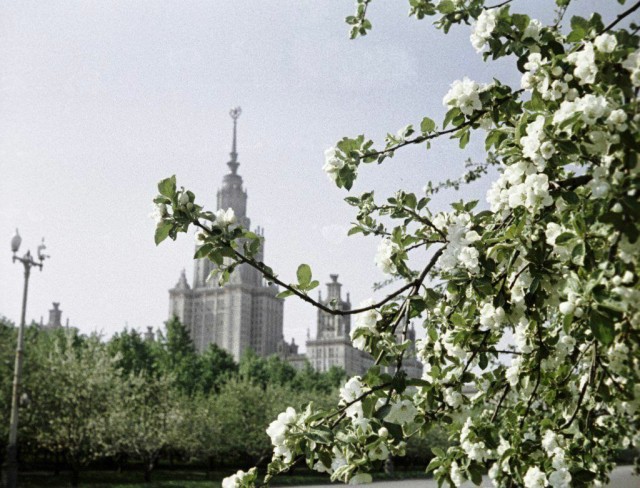 Редкие кадры и архивные снимки 22.05.24