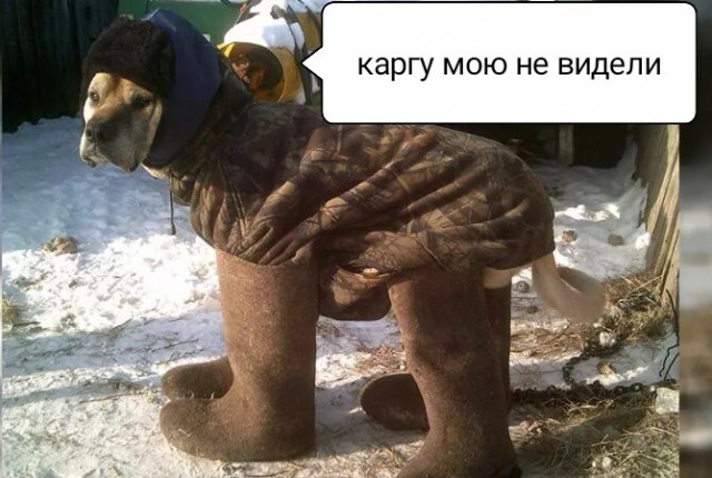 Представляю вашему вниманию...