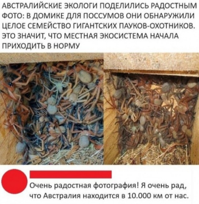 Завалялось тут случайно немного забавных картинок