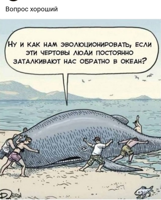 Быстрая деградация