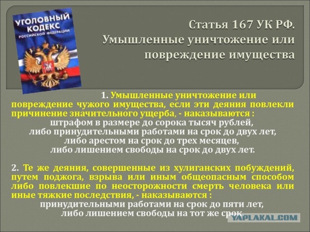 Быдло