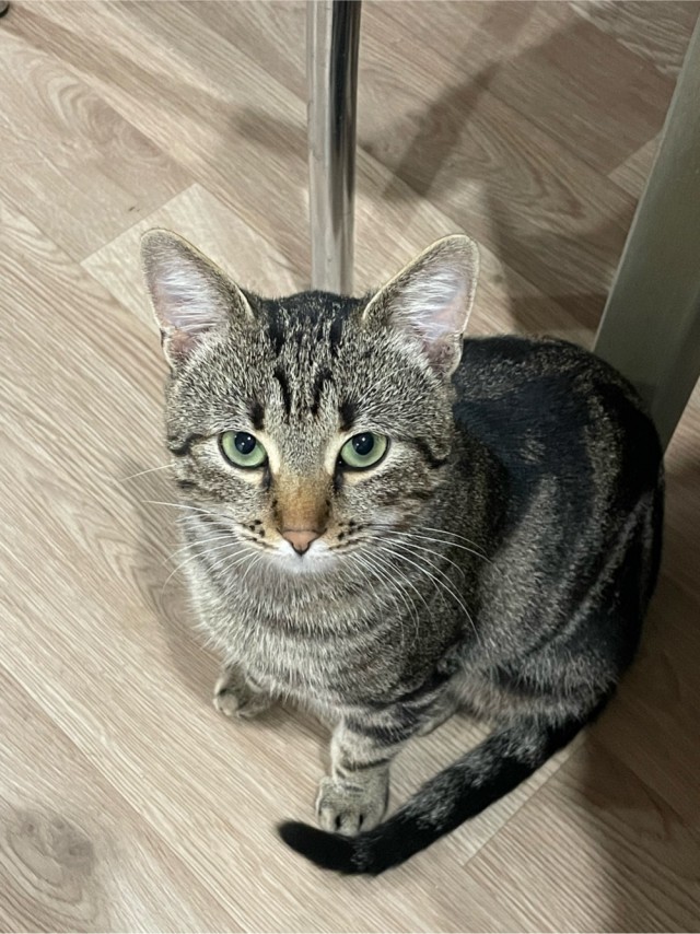 Понимаю, что не вторник