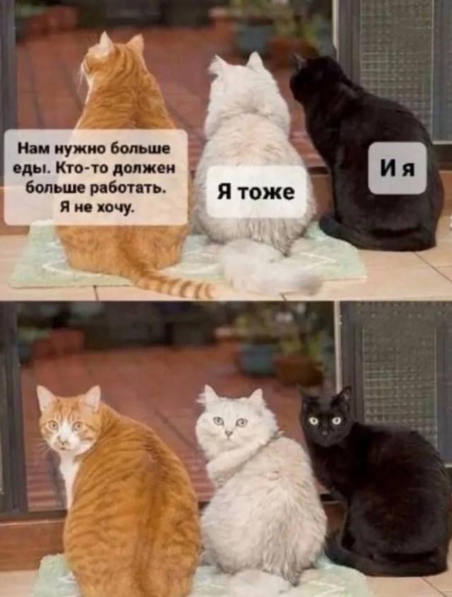 Картинки для...