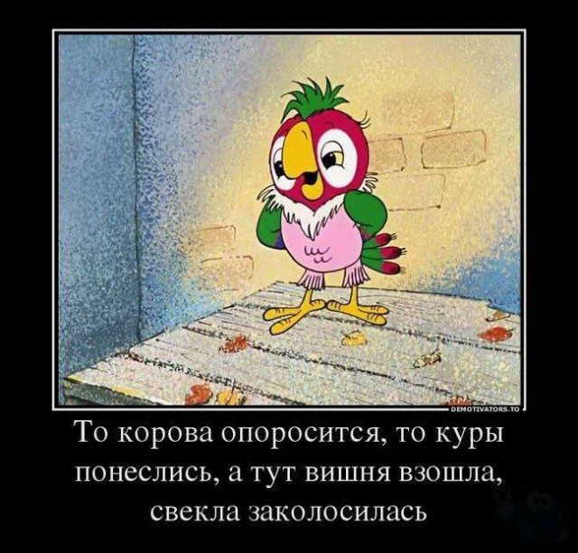 Буренка рулит