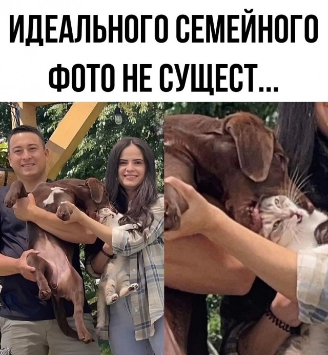 Так себе картинки 01.06.25