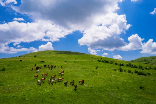 Опубликованы снимки победителей конкурса National Geographic Traveller 2025