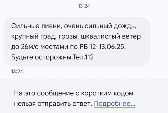 Трехдневный Кошмар Надвигается на Москву!МЧС бьет в набат: ваши выходные обречены!