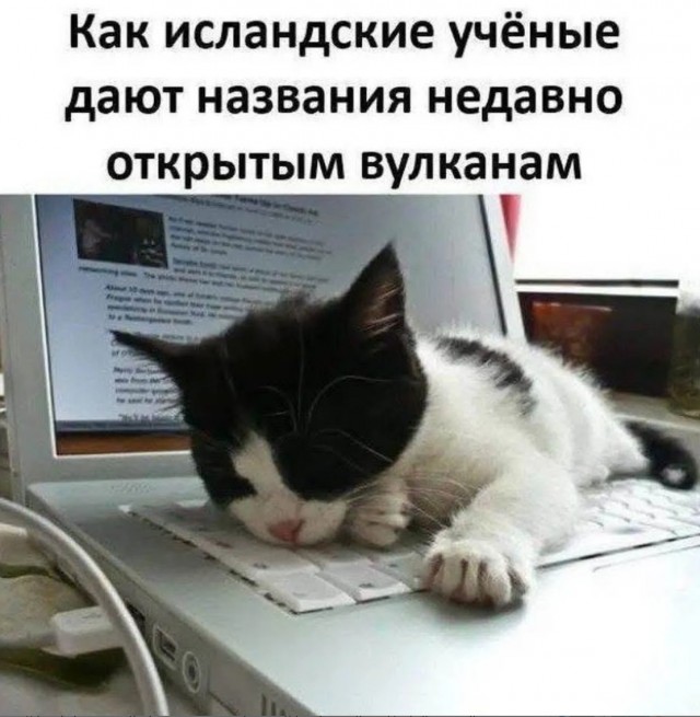 Завалялось тут случайно немного забавных картинок